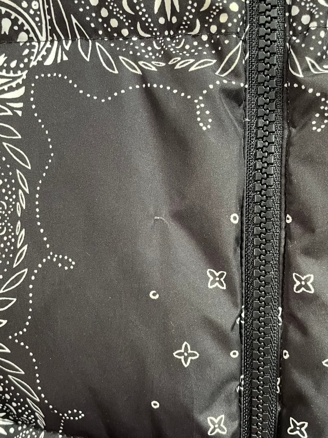 노스페이스 블랙 페이즐리 눕시 다운 패딩 (on.438)   상품이미지4