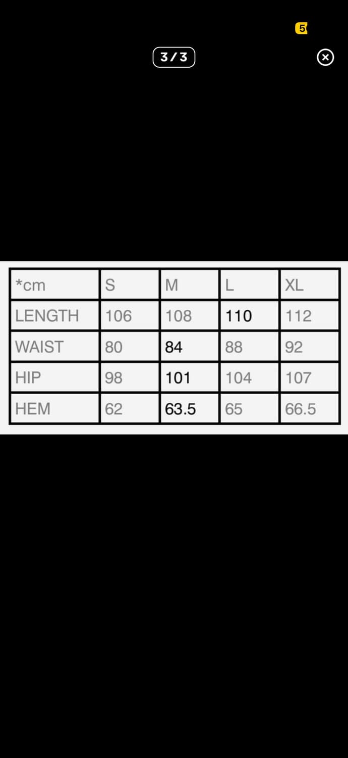 에이시넥틱스 와이드 팬츠 상품이미지3