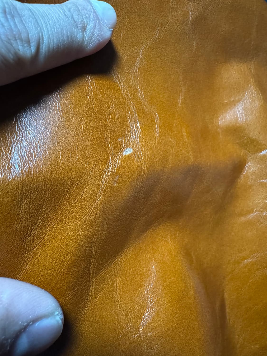 아카펠라클로딩 A2 상품이미지4