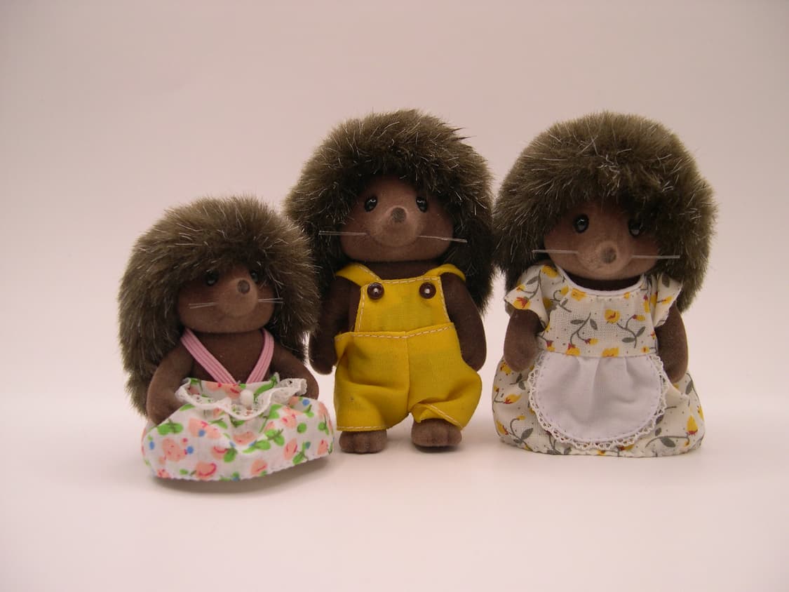 풀박📸 Nikon Coolpix 4300 ✨ 선명한 클래식 감성 상품이미지7