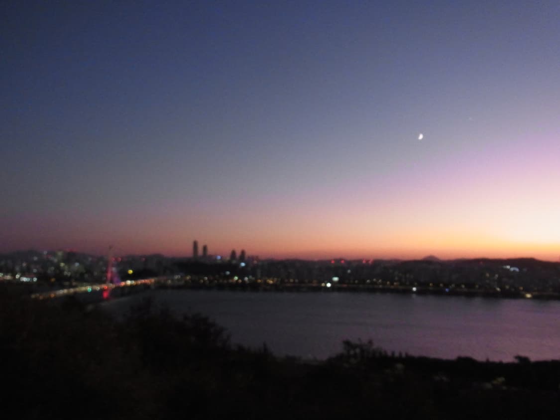 (작례o) RICOH 리코 CX5 핑크 | 빈티지디카 상품이미지8