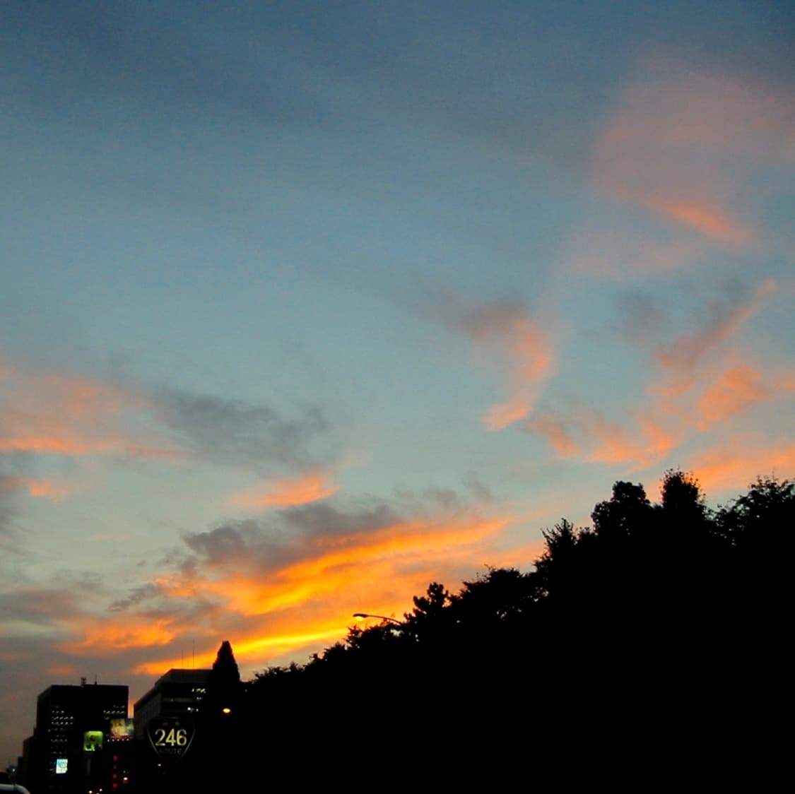 캐논 익서스 Canon IXUS DIGITAL 300 실버 상품이미지4