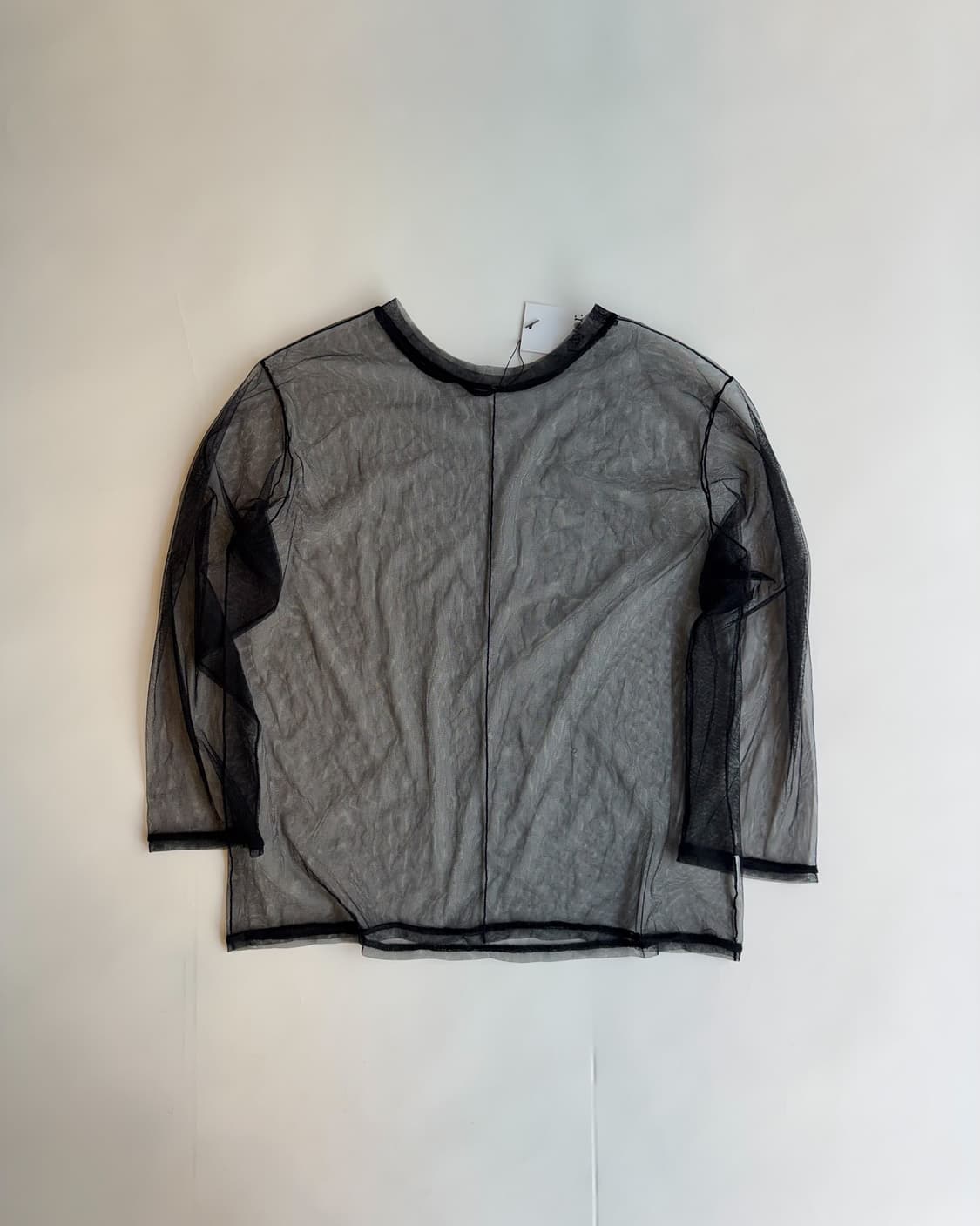 Black Sheer Mesh Long Sleeve 상품이미지2