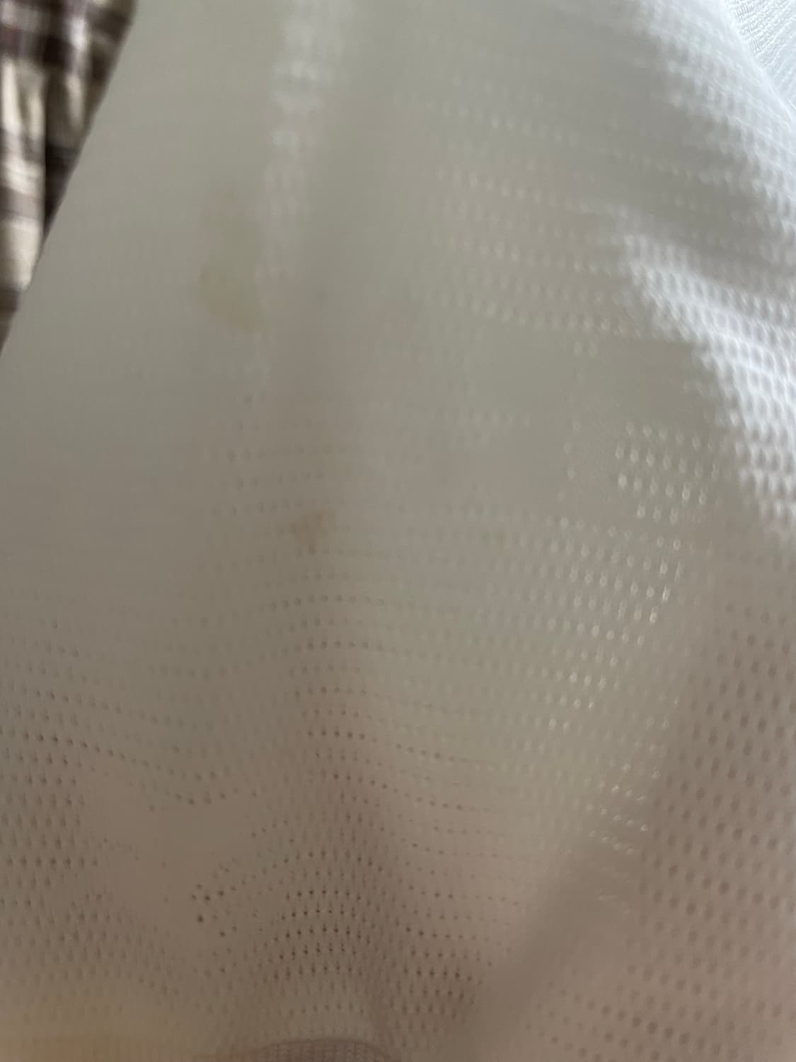 꾸레쥬 글리터 화이트 카라 반팔 티 상품이미지6