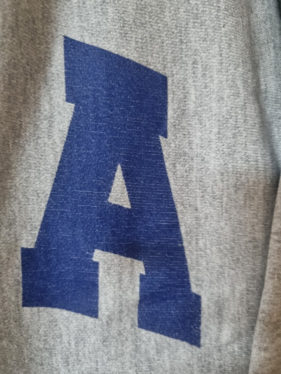 챔피온 리버스위브 usa 후드 L 상품이미지4