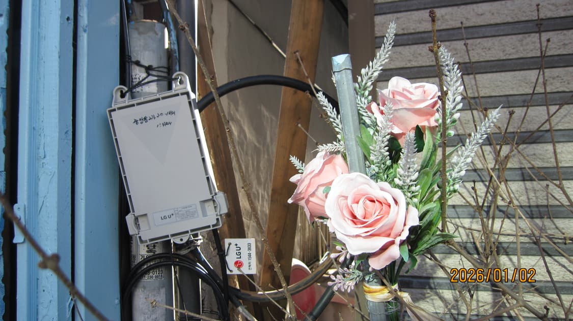 캐논 익서스 110IS Canon IXUS 디카 골드 상품이미지7
