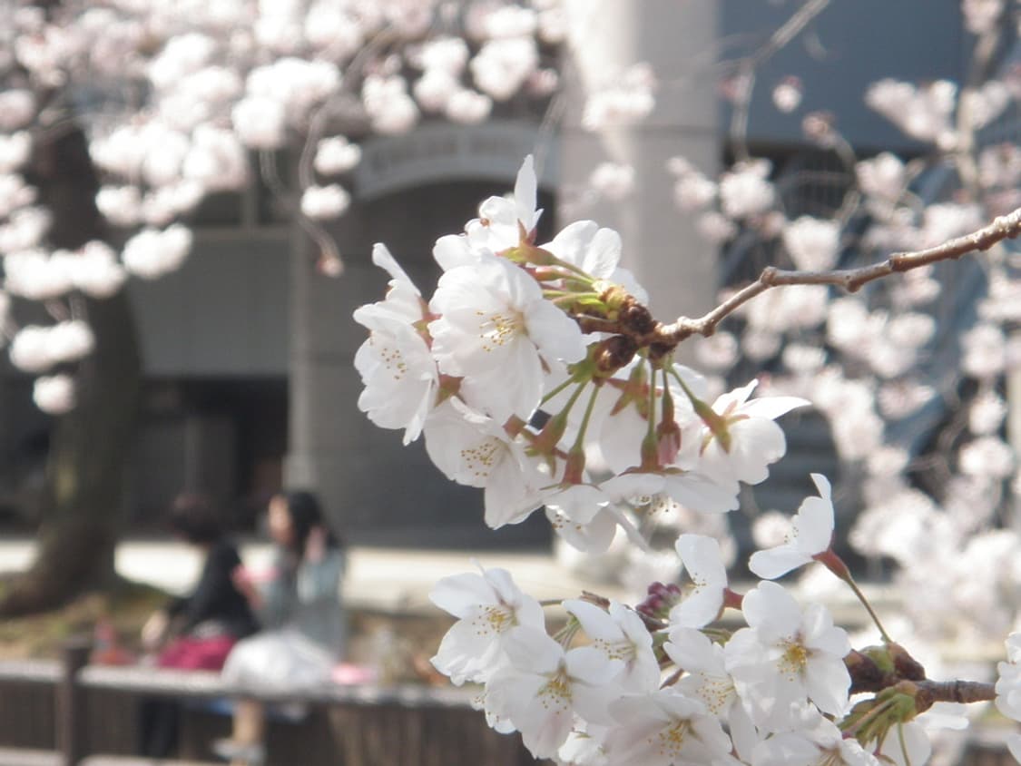 올림푸스 뮤 Olympus mju-1040 레드 상품이미지3