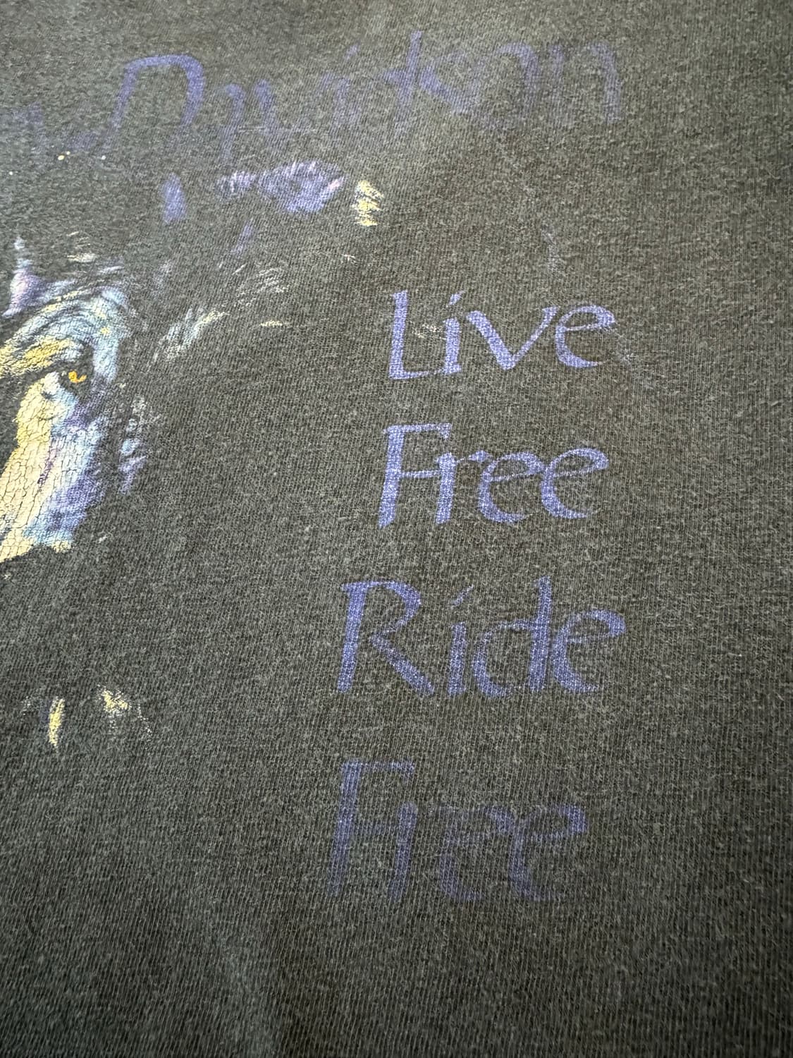 할리데이비슨 라이브 프리 라이드 프리 반팔티 상품이미지7