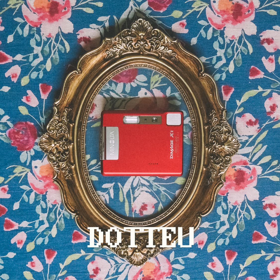 코니카 미놀타 빈티지 디카 Konica Minolta dimage XT 상품이미지1