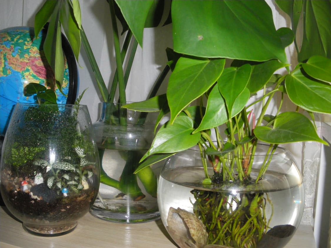 Pentax Optio V20 상품이미지10