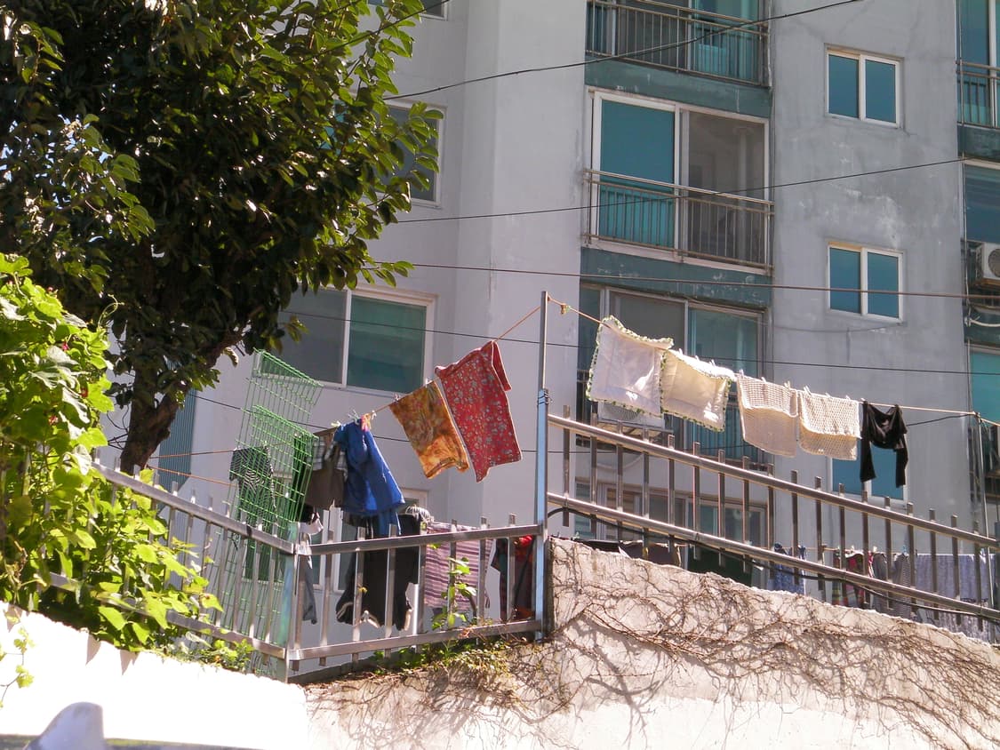 산요작티  cg9 상품이미지5