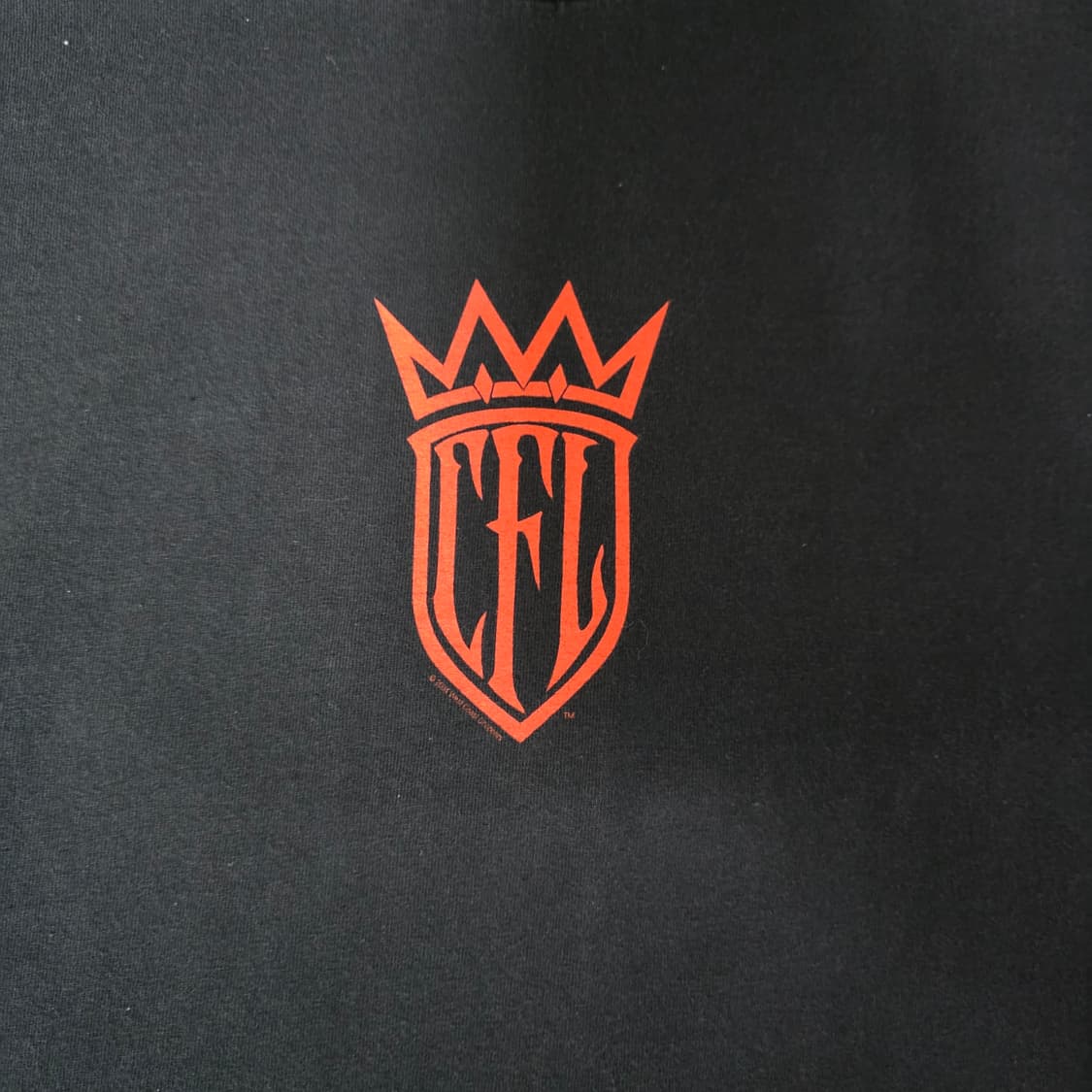 [2XL] 빈티지 WCC 웨스트 코스트 차퍼스 플레임 롱슬리브 상품이미지5