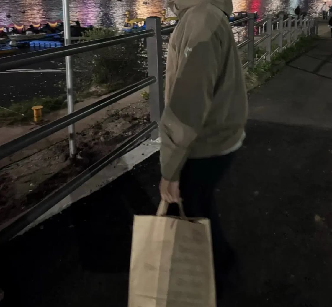 (S급) 아크테릭스 솔라노 후디 알케미 S 상품이미지3