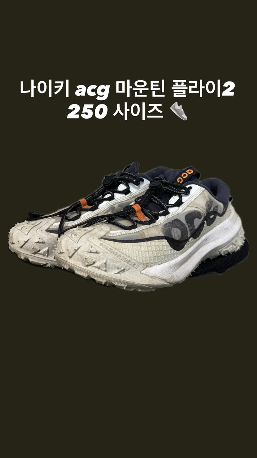 나이키 acg 마운틴플라이2 250 상품이미지1