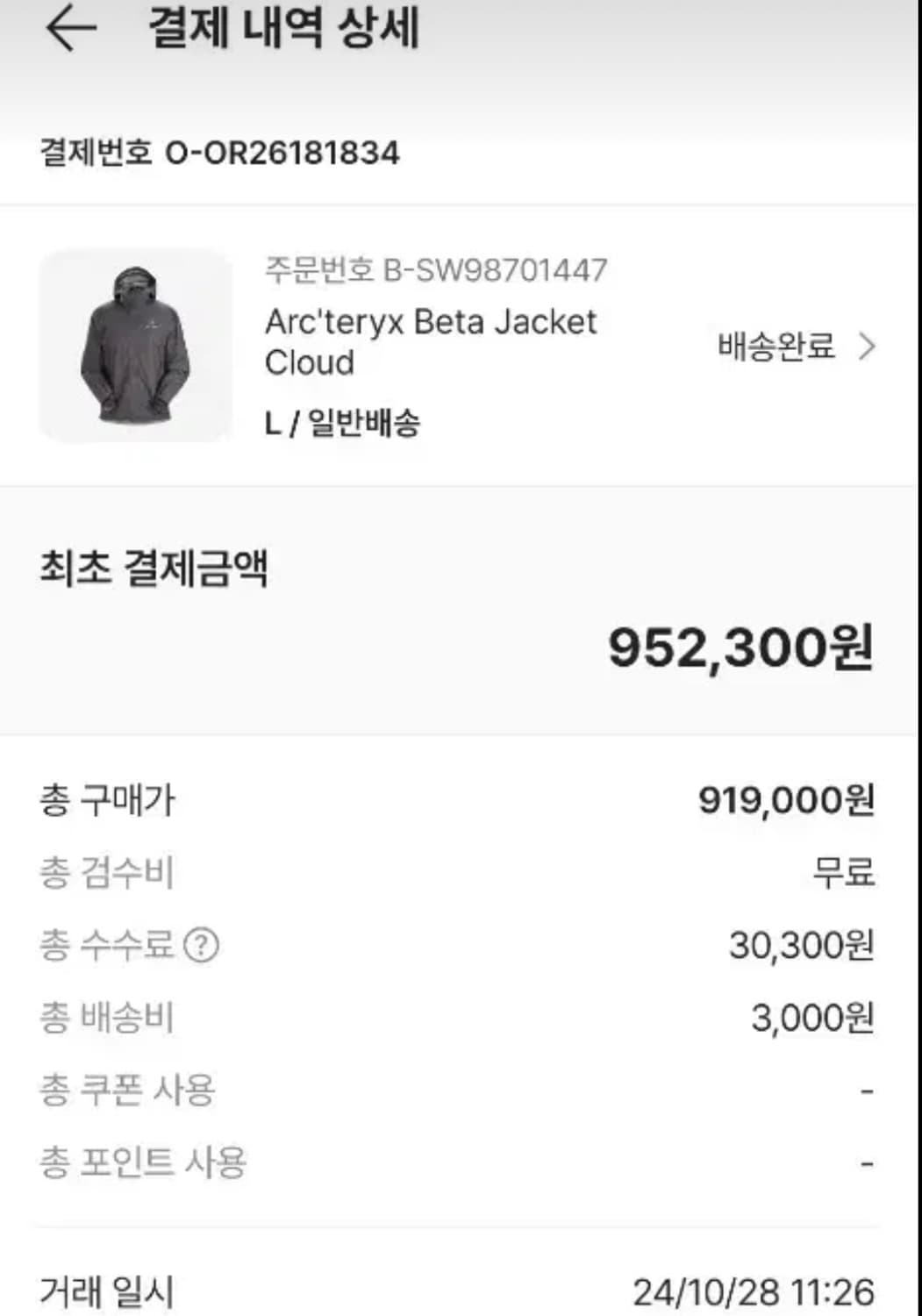 아크테릭스 베타 클라우드 L  상품이미지5