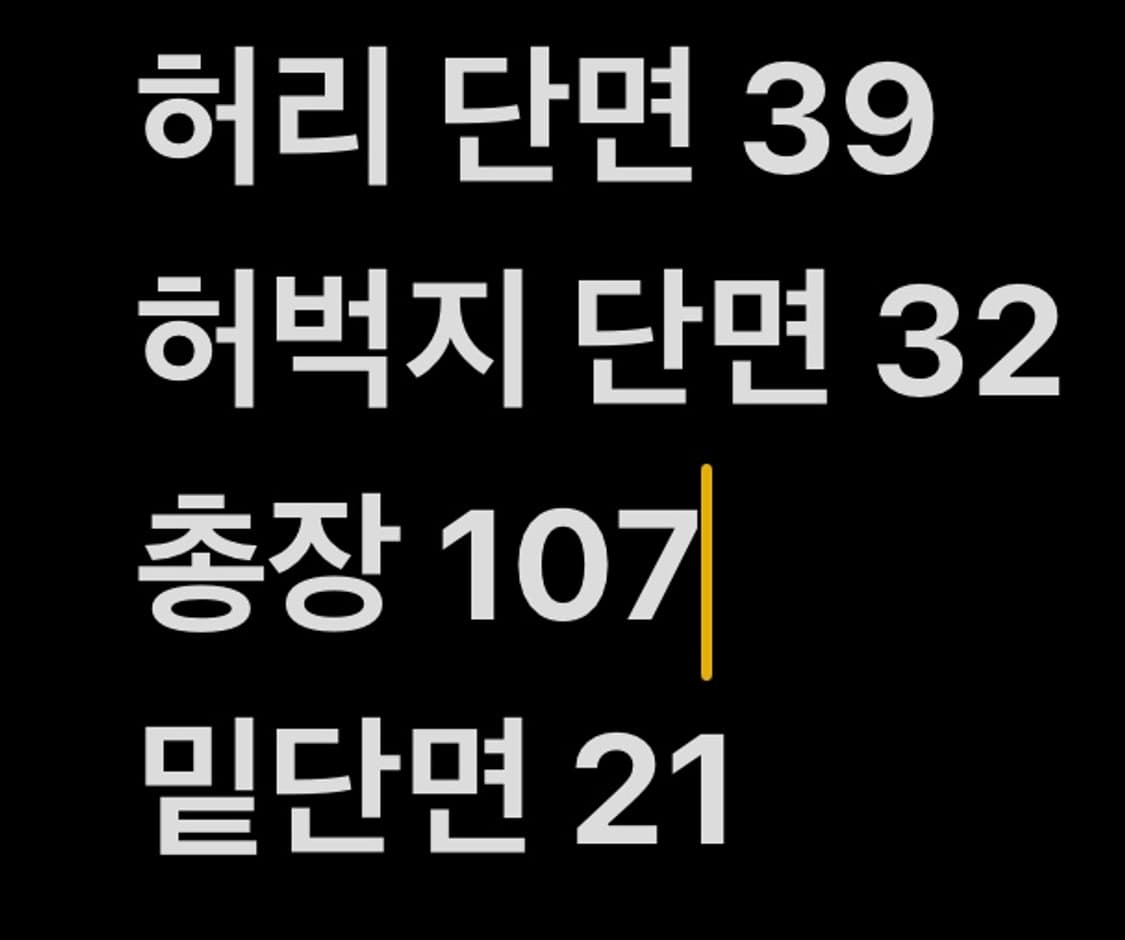 [ 정품/32 ] 폴로 랄프로렌 클래식 치노 팬츠 b14 상품이미지10
