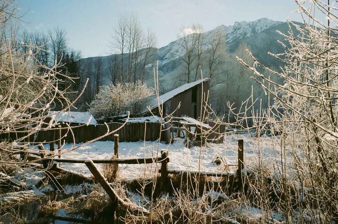 작례O 명품 펜탁스 줌 105 r 필름카메라 빈티지 필카 상품이미지5