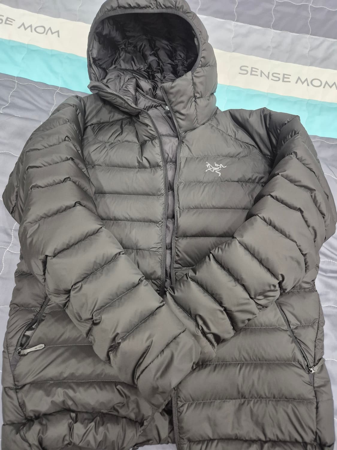 [M] 25FW 아크테릭스 세륨 후디 상품이미지1