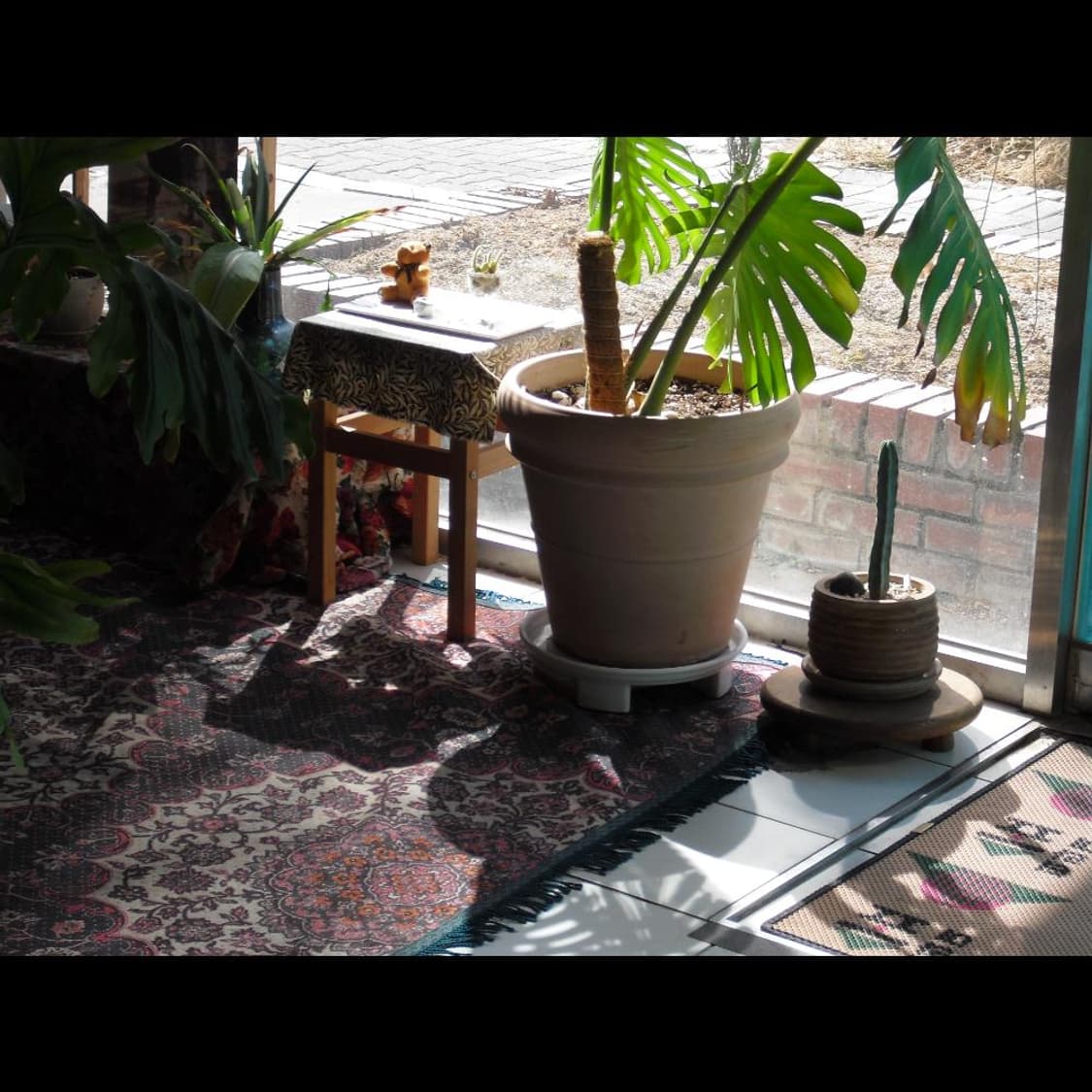 작례⭕️ 카시오 엑슬림 EX-Z1 초점 이모지 핑크 글로시 상품이미지6