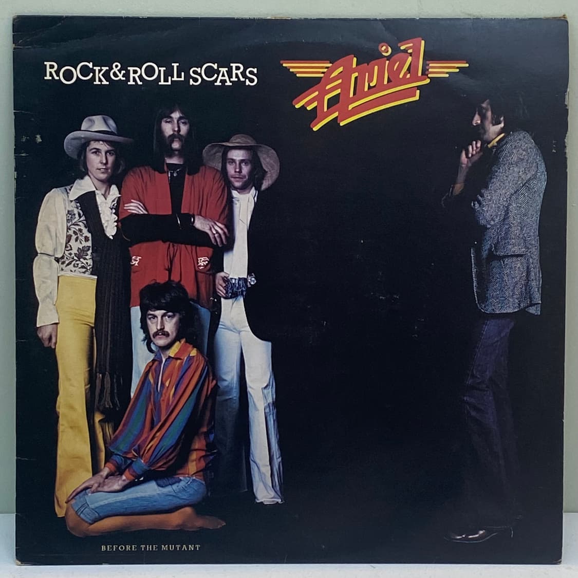 (LP) Ariel - Rock And Roll Scars (UK반) 상품이미지1