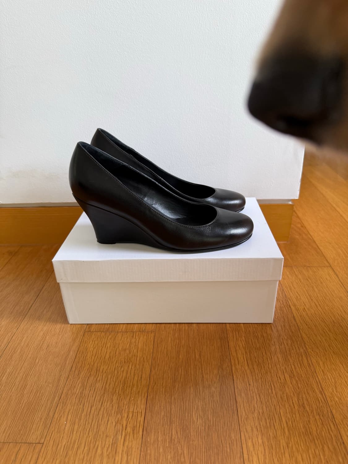 gimaguas Bailarina Wedges(38) 상품이미지4