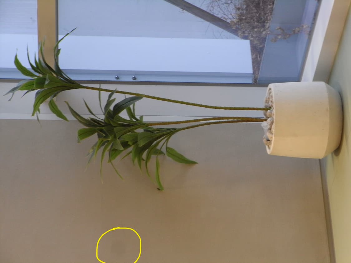 풀박스) 리코 caplio r7 디카 상품이미지7