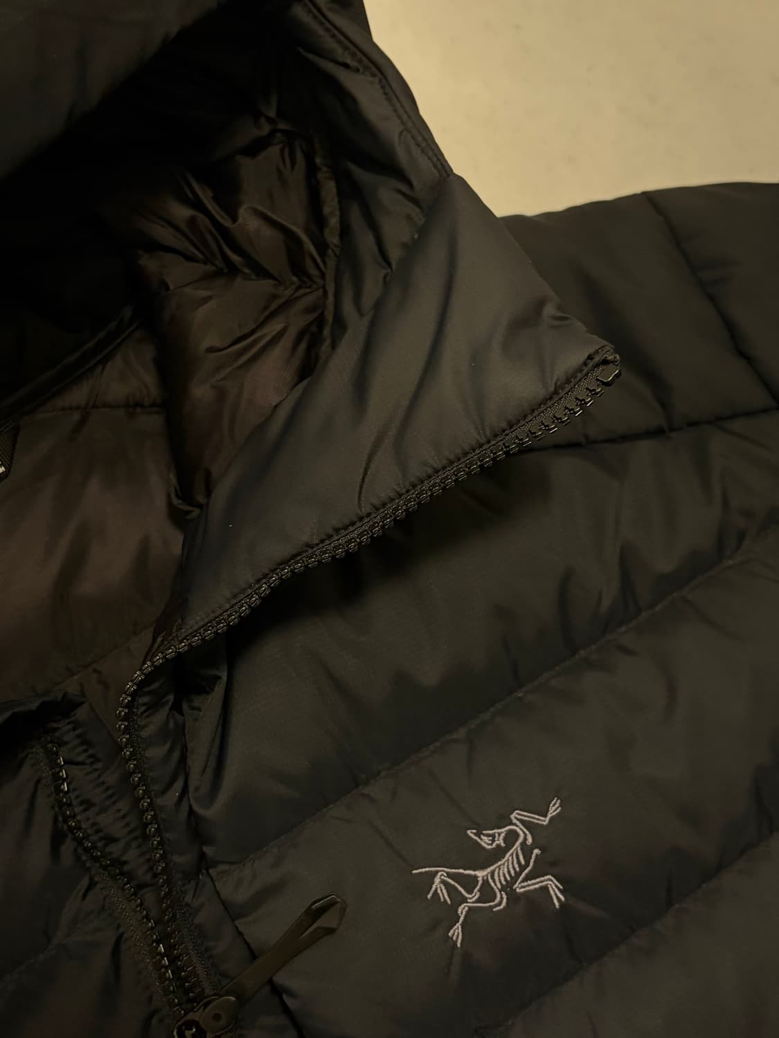 [L] 아크테릭스 24FW 토륨 후디 블랙 상품이미지3