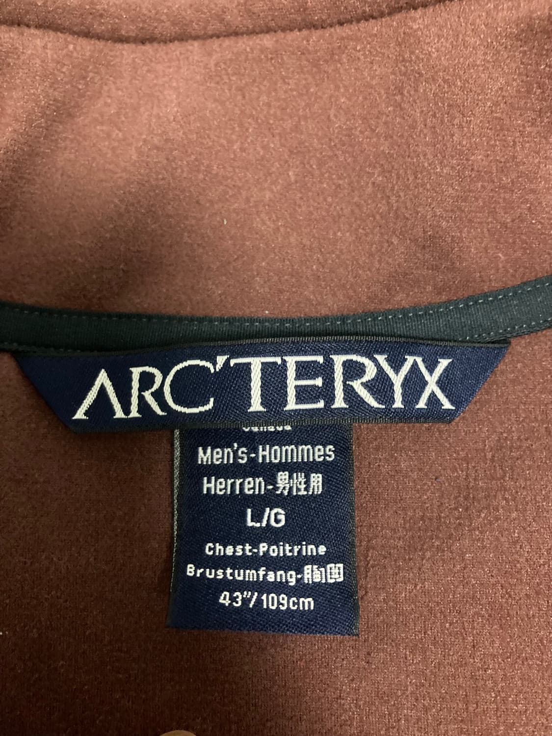 아크테릭스 아파치 AR 풀오버 L사이즈 상품이미지3