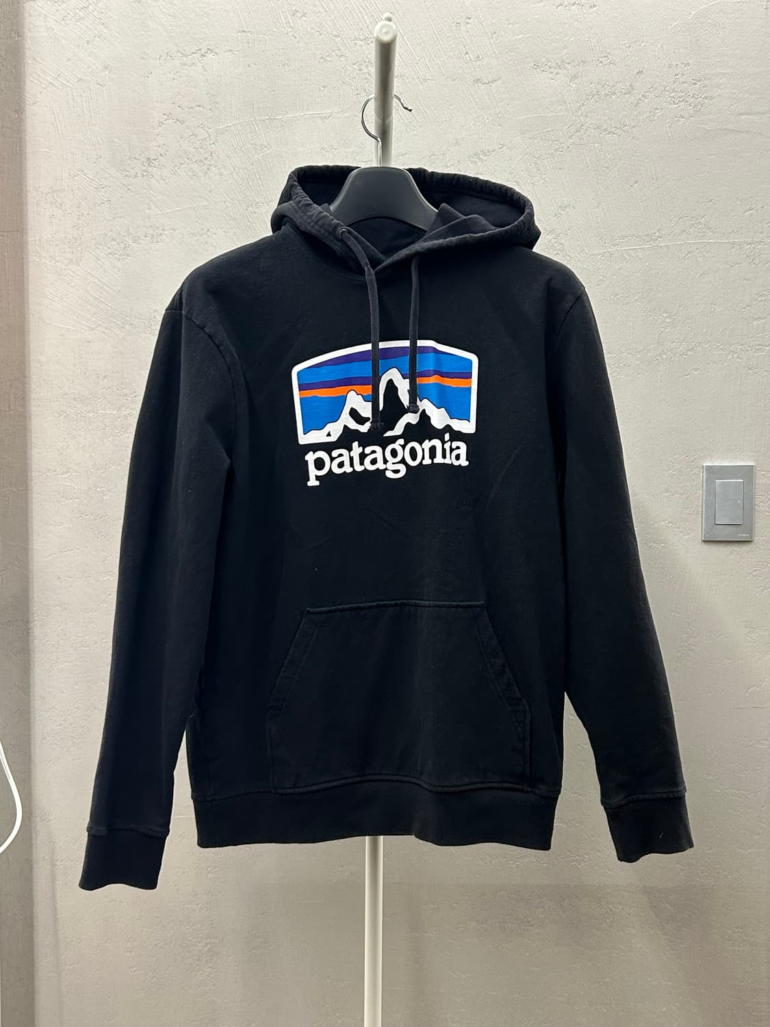 파타고니아 심볼 후드 상품이미지2