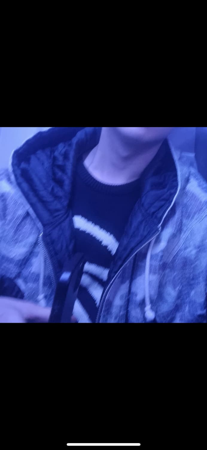 스투시 워크 자켓 카모 캔버스 니들펀치 우드랜드 상품이미지3