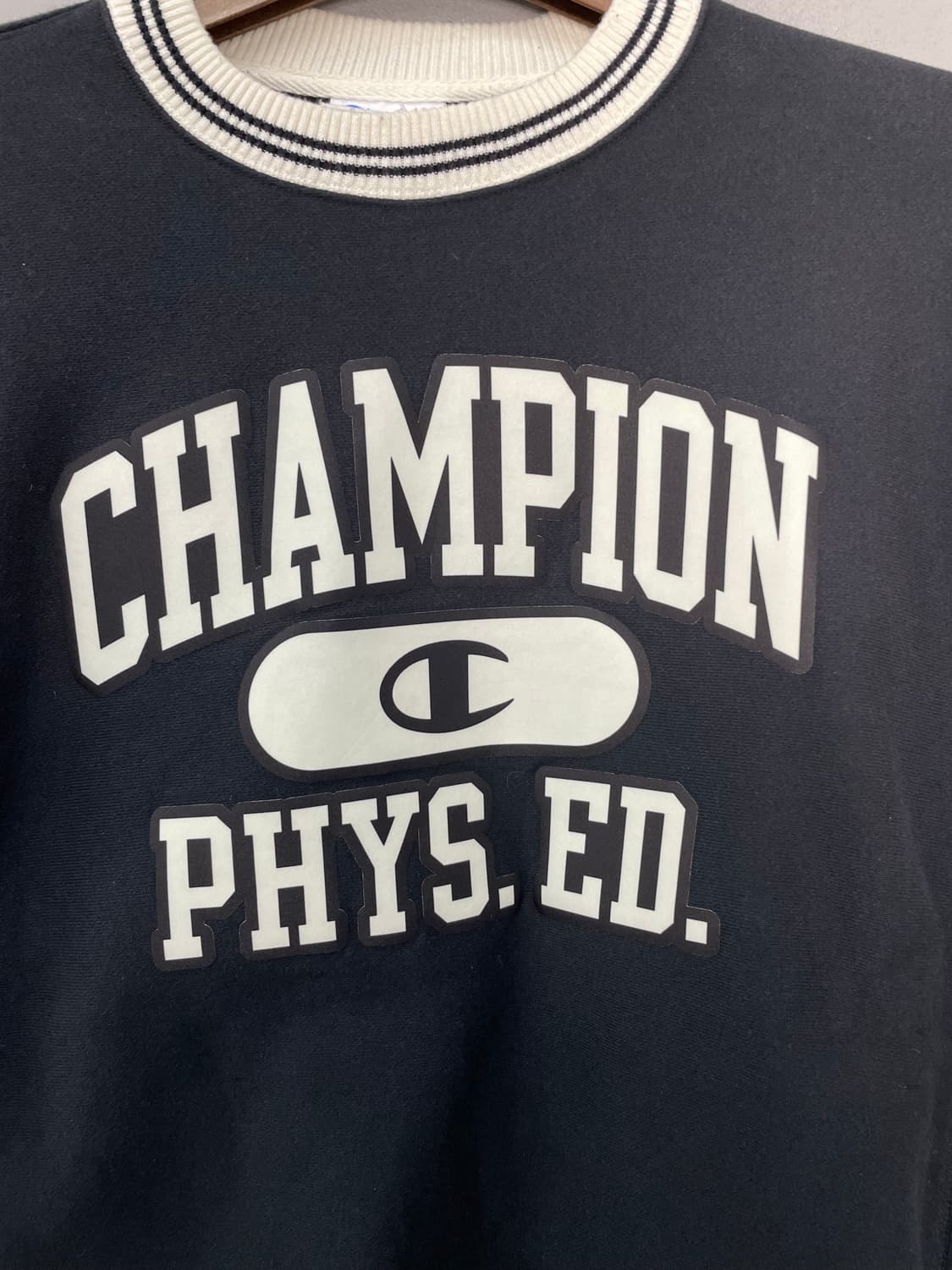 챔피온 리버스위브 PHYS.ED 맨투맨 H2561 상품이미지3