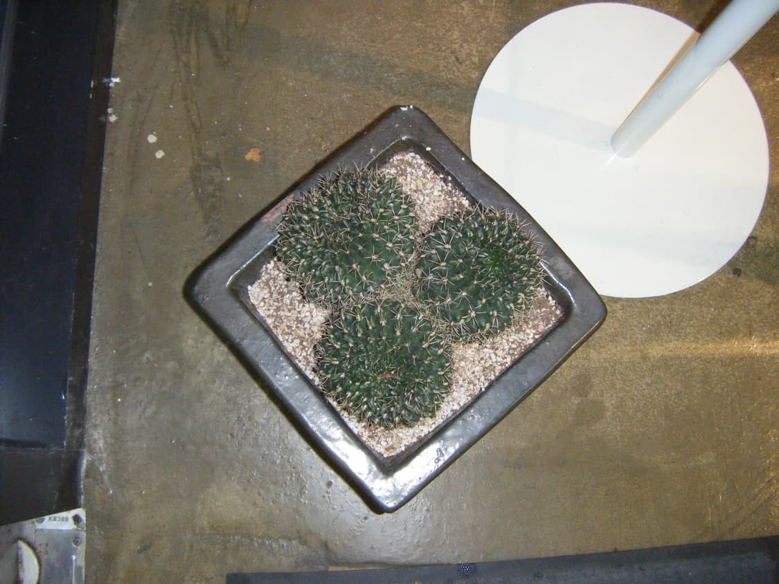 후지필름 파인픽스 z10fd 보라색 빈티지디카 상품이미지8