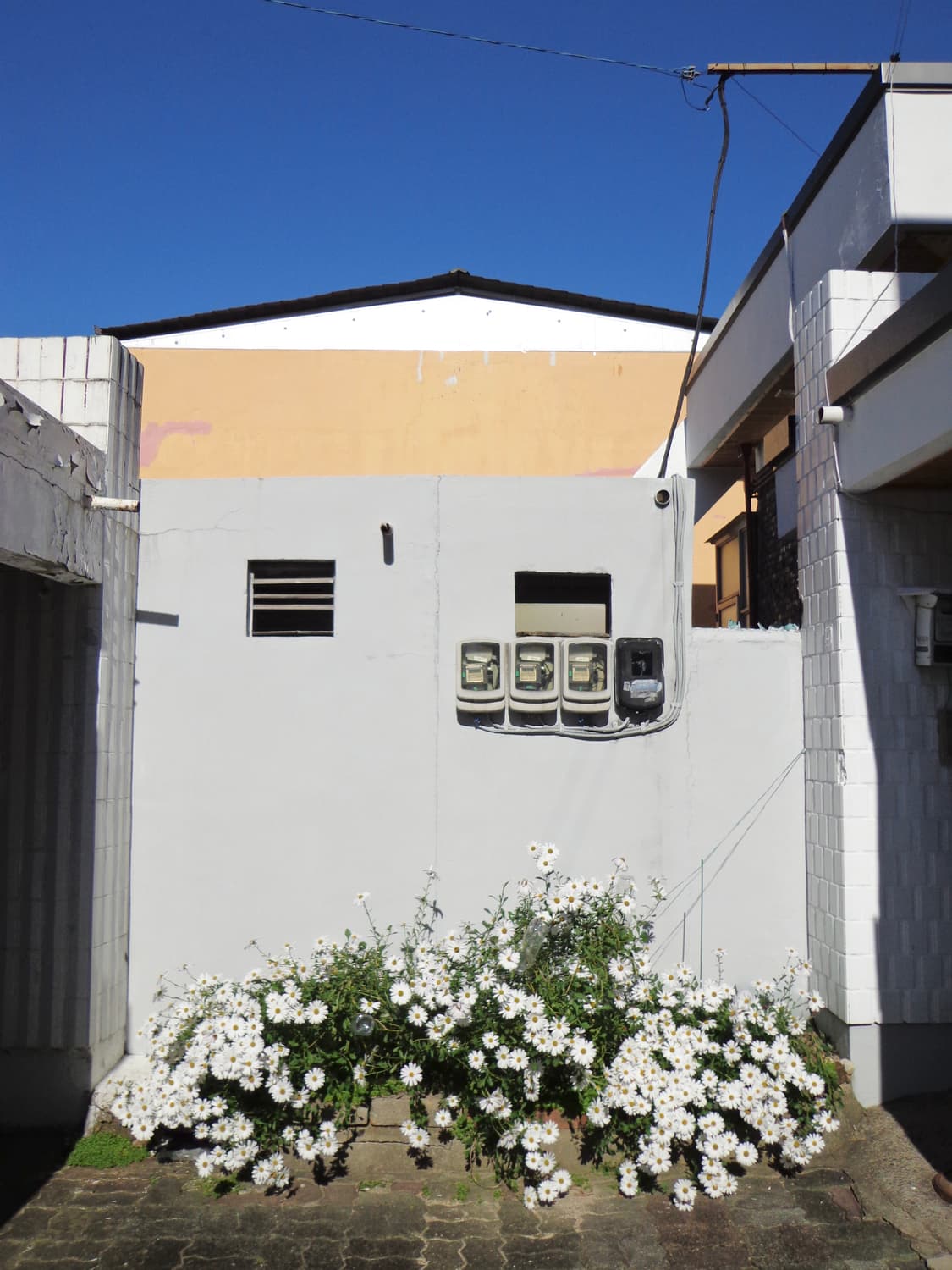 소니 핑크 디카 dsc-w630  상품이미지6