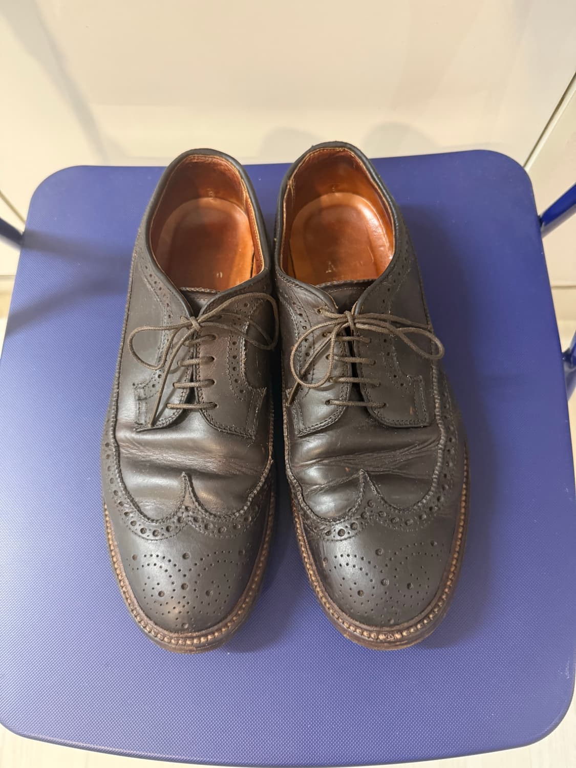 Alden Longwing Blucher Brown Chromexcel 상품이미지10