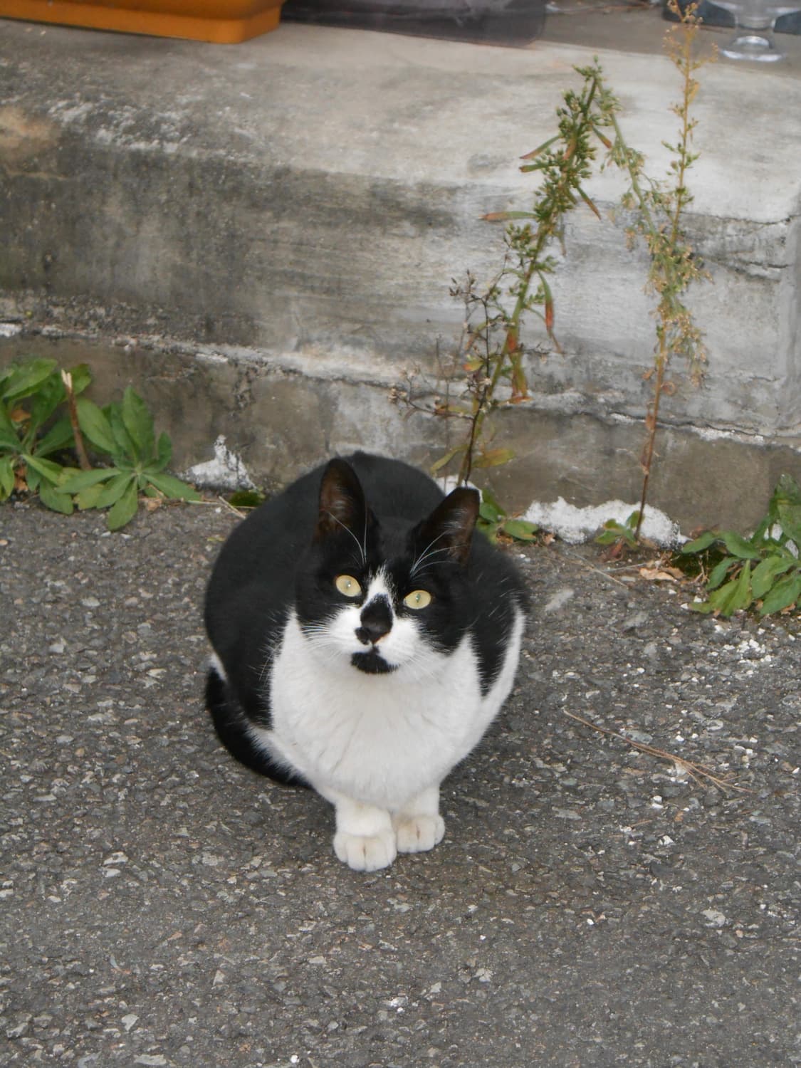 니콘 COOLPIX S2700 / 가볍게 들고 다니는 데일리 감성 디카 상품이미지4