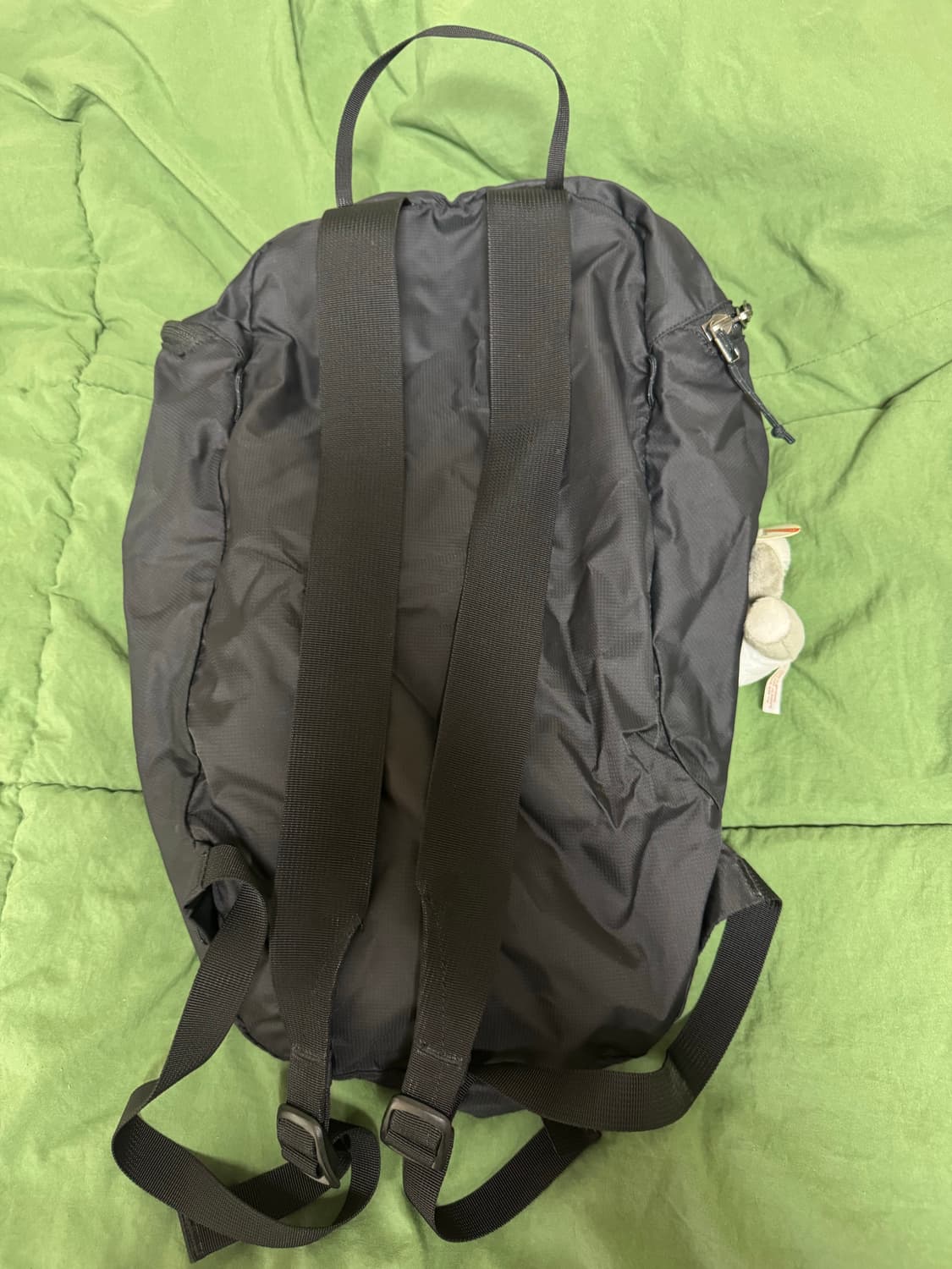 아크테릭스 인덱스 15 백팩 블랙 상품이미지2