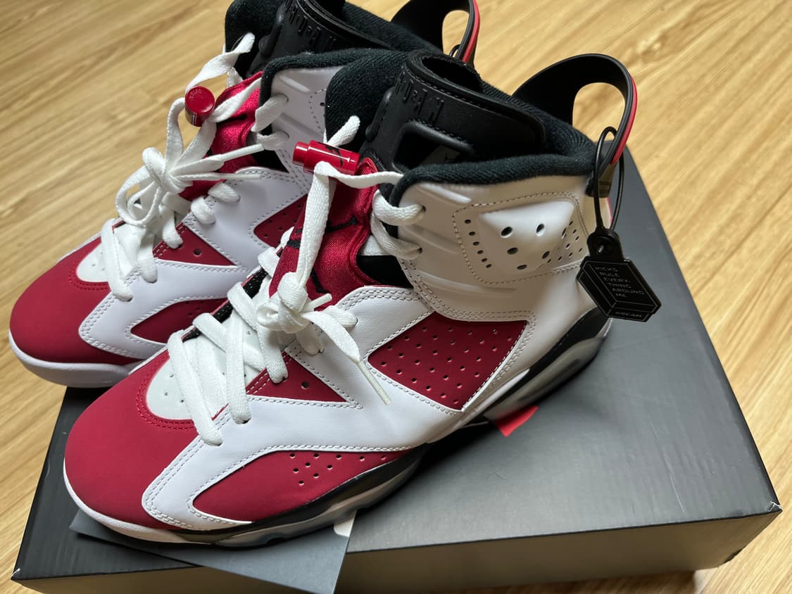 Jordan 6 Retro Carmine 2021 조던6 레트로 카마인 상품이미지1