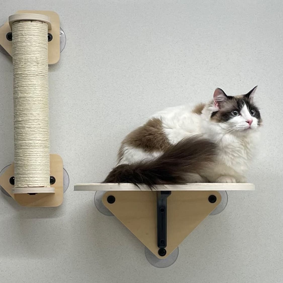 펫로지 고양이 창문 해먹 소파형 캣타워 미개봉  PetRozy Cat 상품이미지3