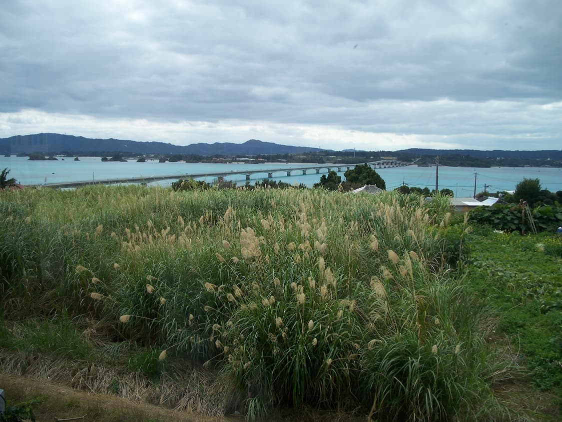 코닥 이지쉐어 c875/ 뉴진스 카메라 상품이미지5