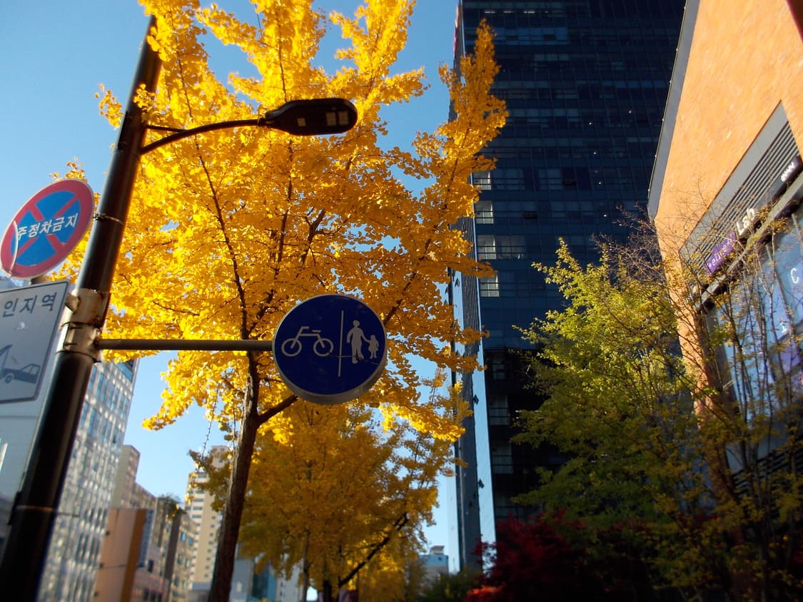 니콘 s01 블랙 풀박스 (작레 O) 상품이미지6