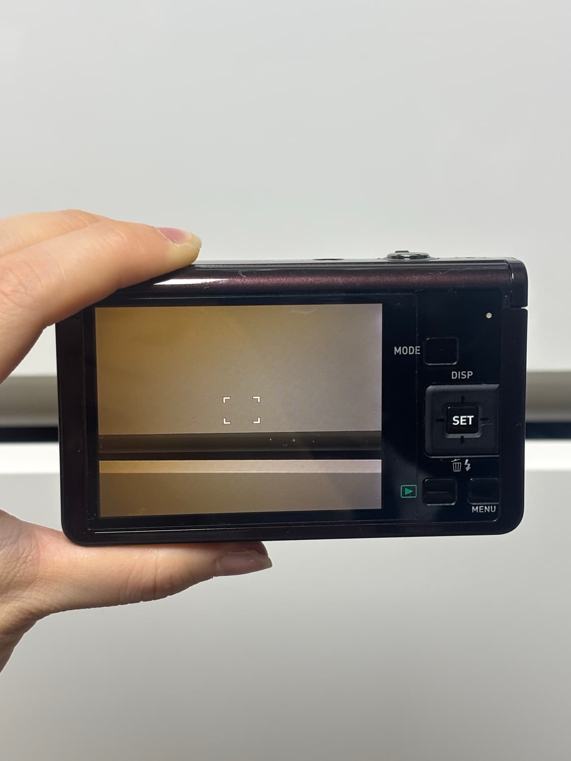 카시오 엑슬림 zr50 브라운 상품이미지10