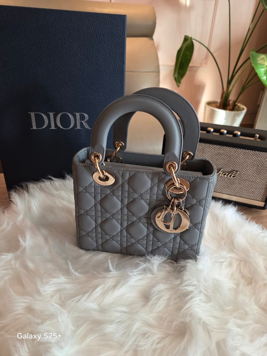 디올 레이디백 최신형 디자이너 엘레나 에디션 상품이미지1