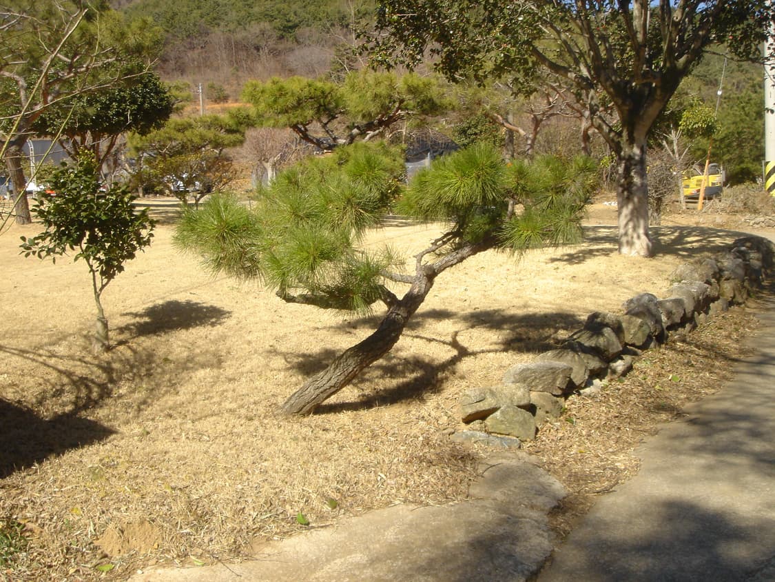 소니 사이버샷 T11 상품이미지8