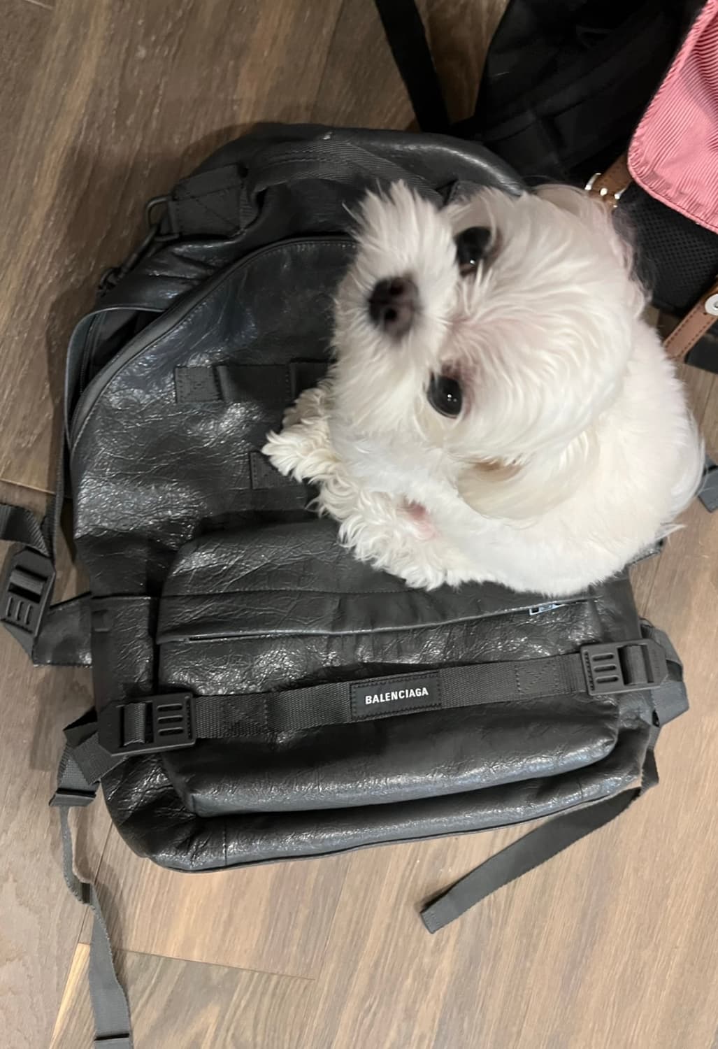 Balenciaga 밀리터리 백팩 그레이 상품이미지3