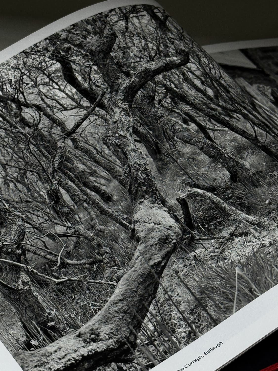 Chris Killip 크리스 킬립 회고전 사진집 상품이미지3