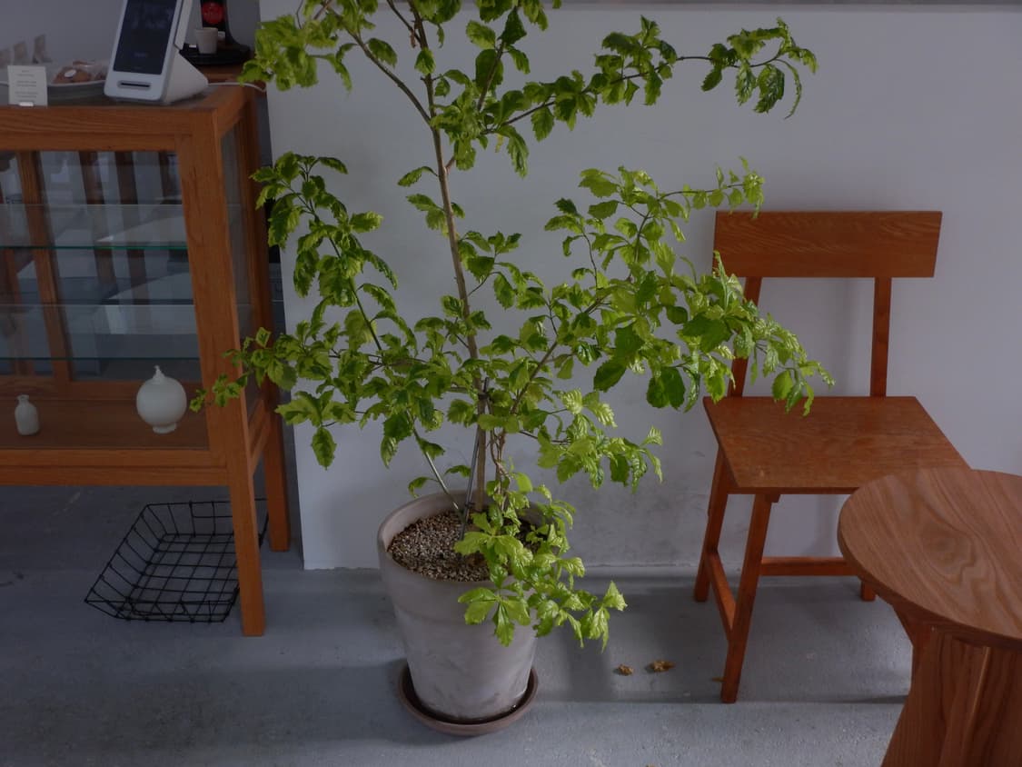 니콘 쿨픽스 aw120 블랙 한국어판 (작례 O) 상품이미지10