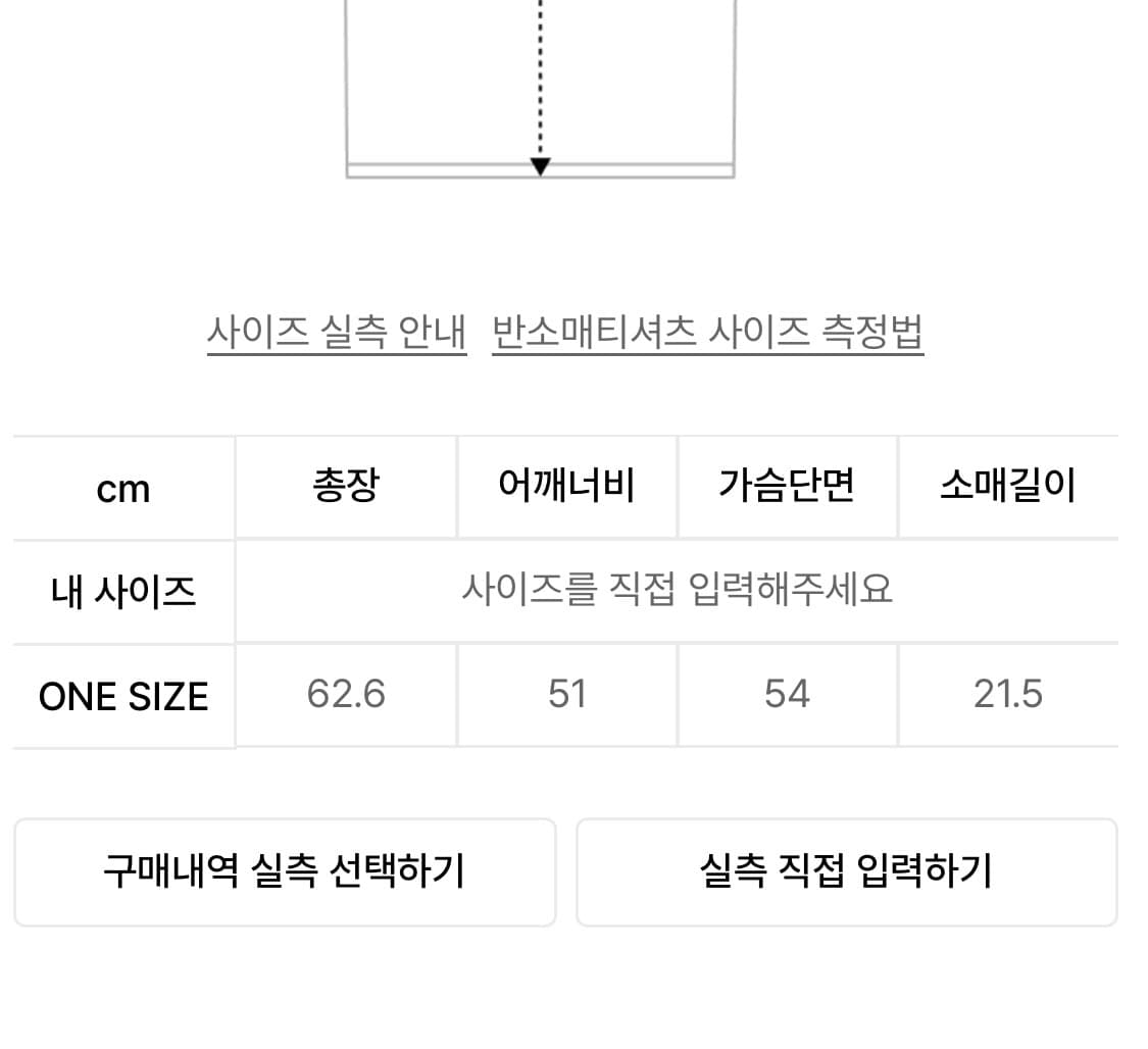 레씨토 디스트로이드 오버사이즈 반팔티 상품이미지3