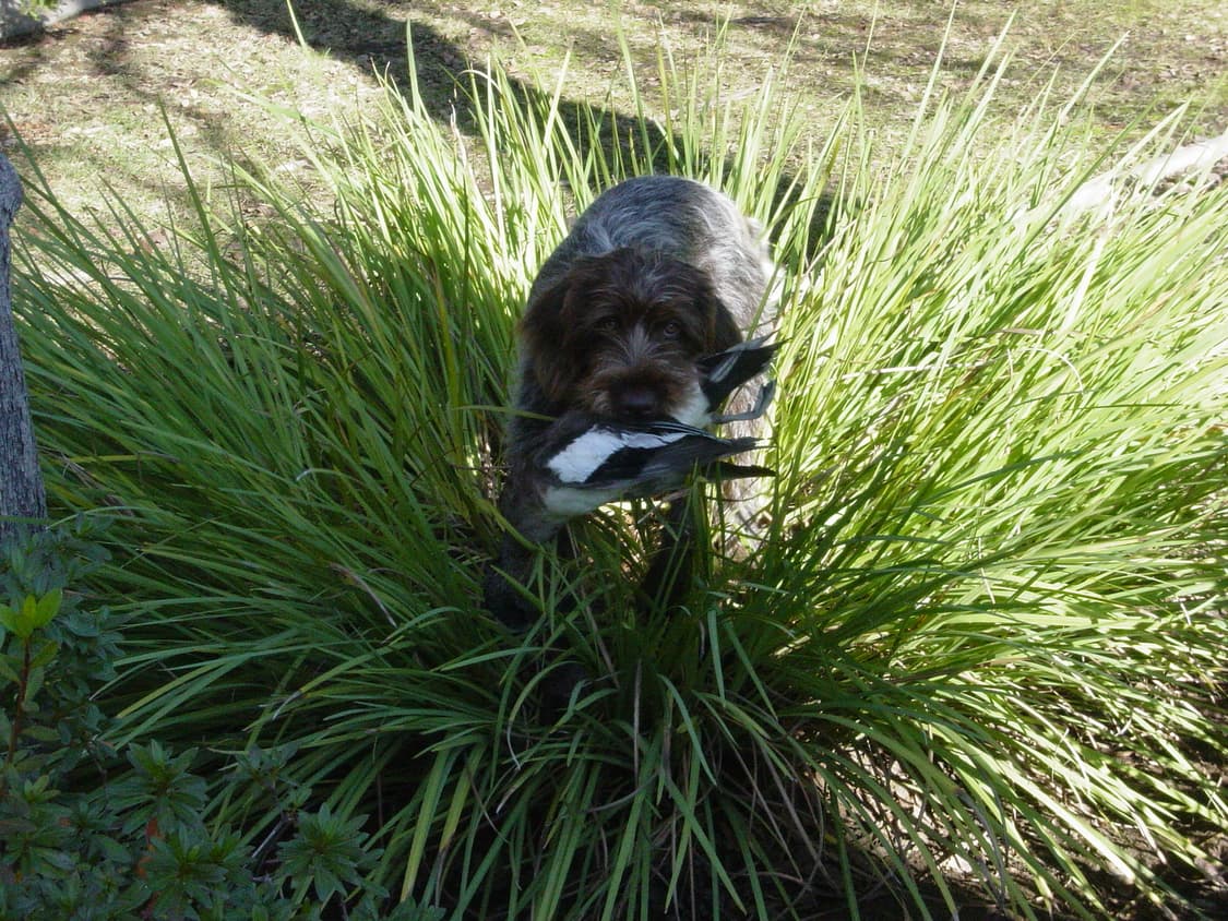 소니 사이버샷 S85 빈티지 디지털카메라 상품이미지10