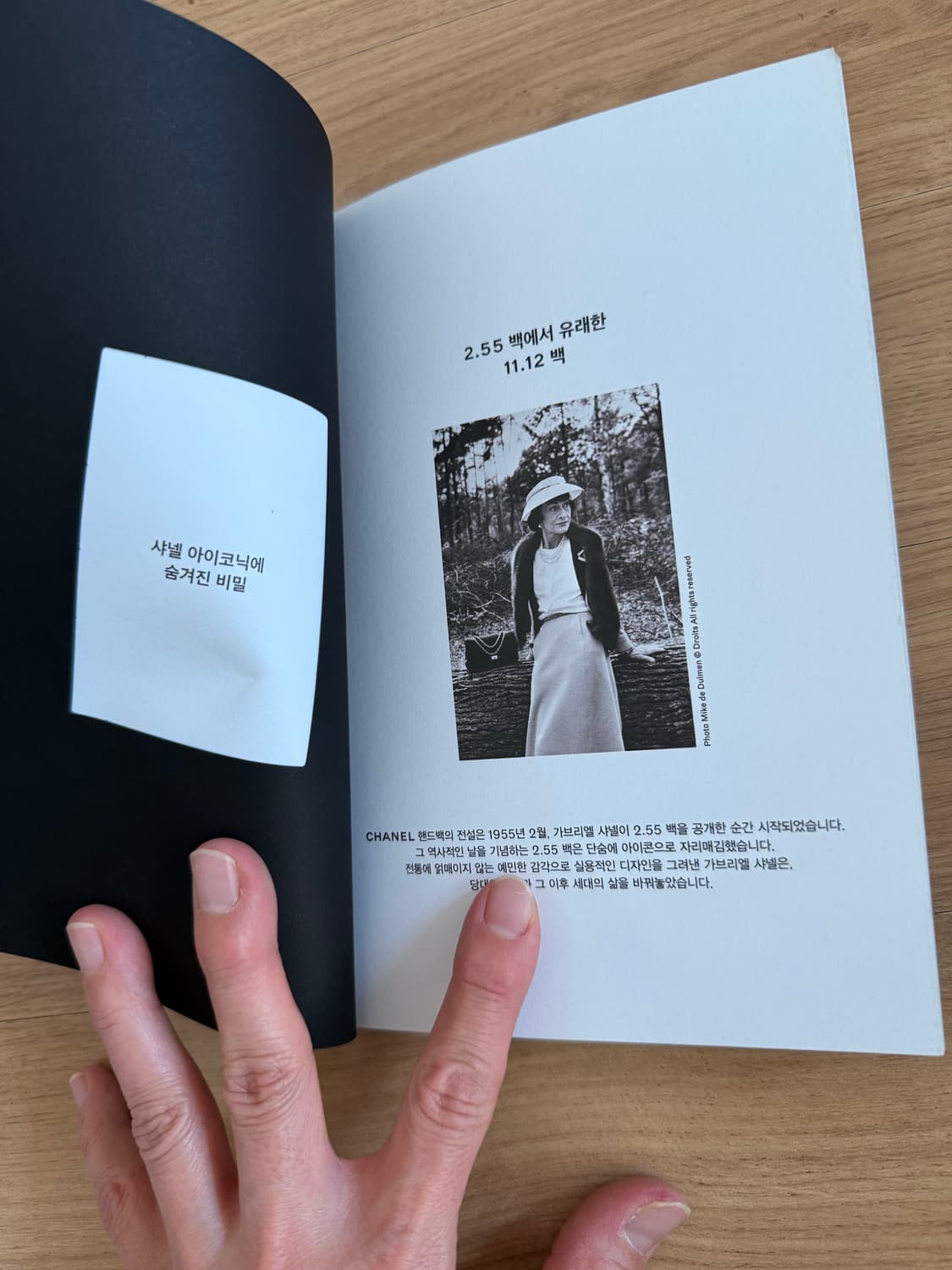 샤넬 21년 룩북 2권 일괄 상품이미지5