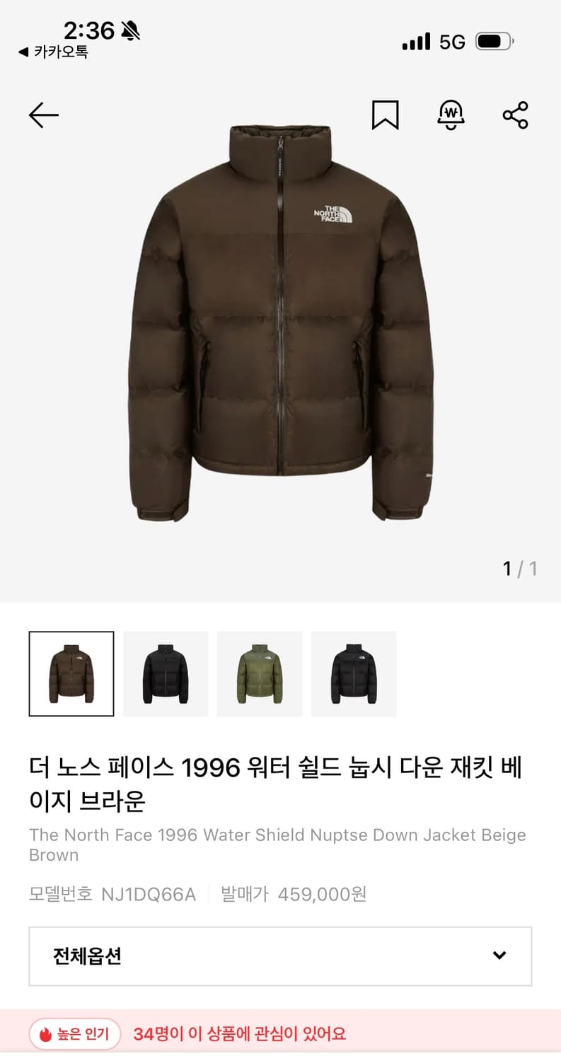 노스페이스 워터실드 눕시 브라운 상품이미지1